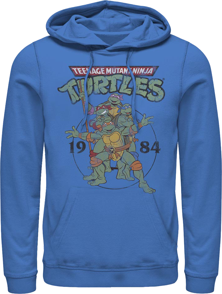 Ninja turtle hoodie hot sale children's place