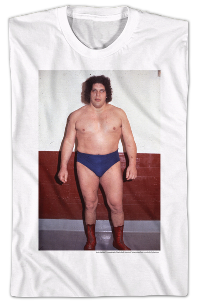 http://www.80stees.com/cdn/shop/files/eighth-wonder-of-the-world-andre-the-giant-t-shirt.folded_1024x1024.png?v=1700680717