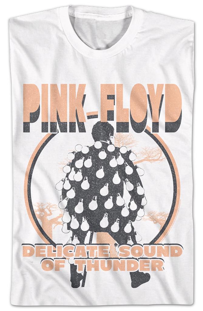 Pink floyd delicate sound best sale of thunder t shirt