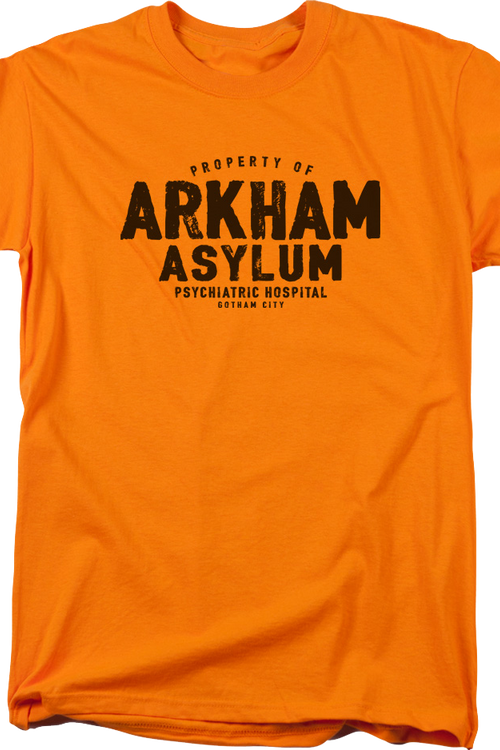 Property Of Arkham Asylum DC Comics T-Shirtmain product image