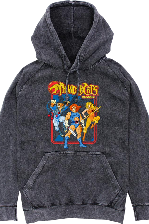 Classic Hero Poses ThunderCats Hoodiemain product image