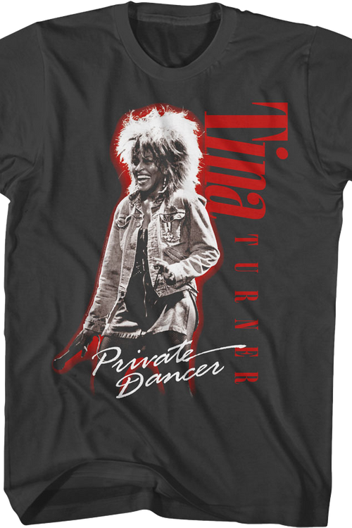 Private Dancer Photo Tina Turner T-Shirtmain product image