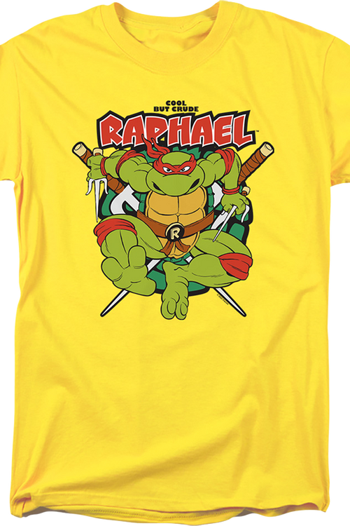 Teenage Mutant Ninja Turtles Toddler Boys 3 Pack Graphic T-shirts