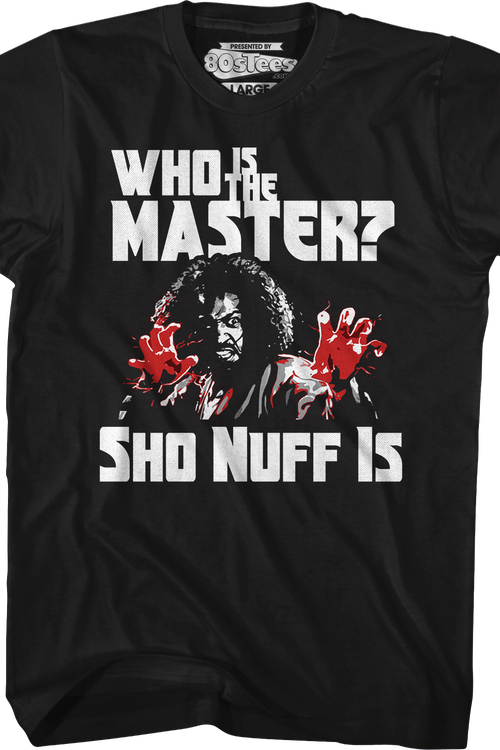 Who Is The Master The Last Dragon T-Shirtmain product image